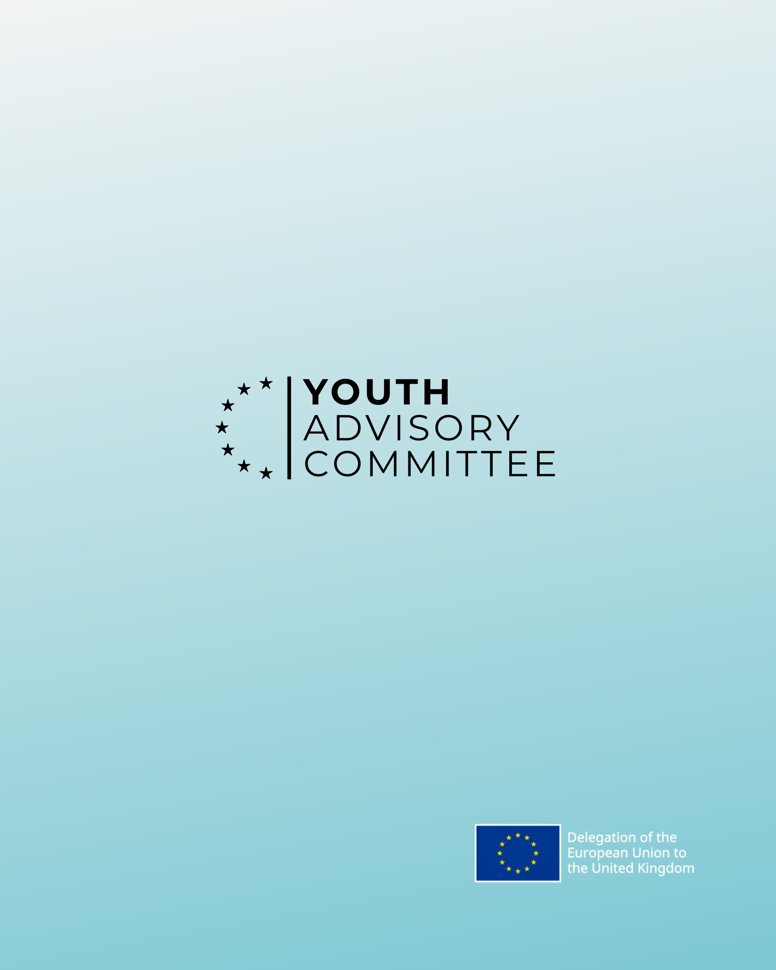 Youth Advisory Committee